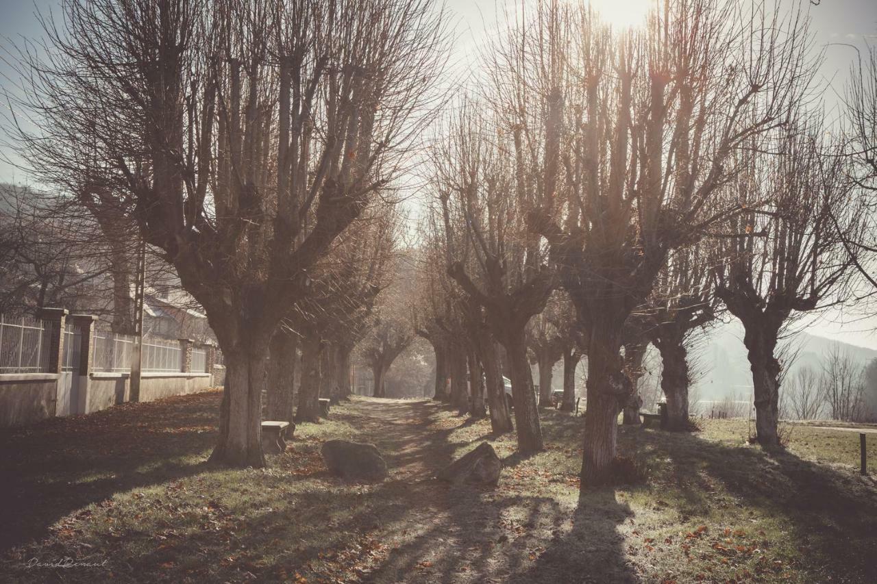Maison Ou Claude Monet Vecut A Vetheuil Bed & Breakfast Exterior foto